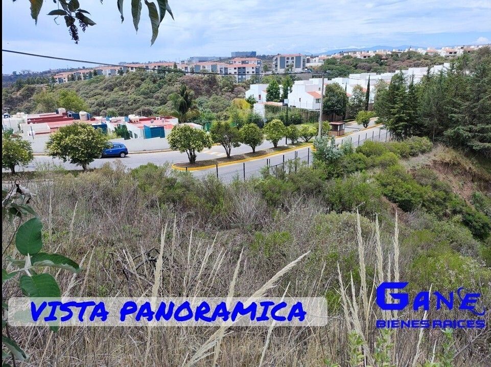 14 de 15