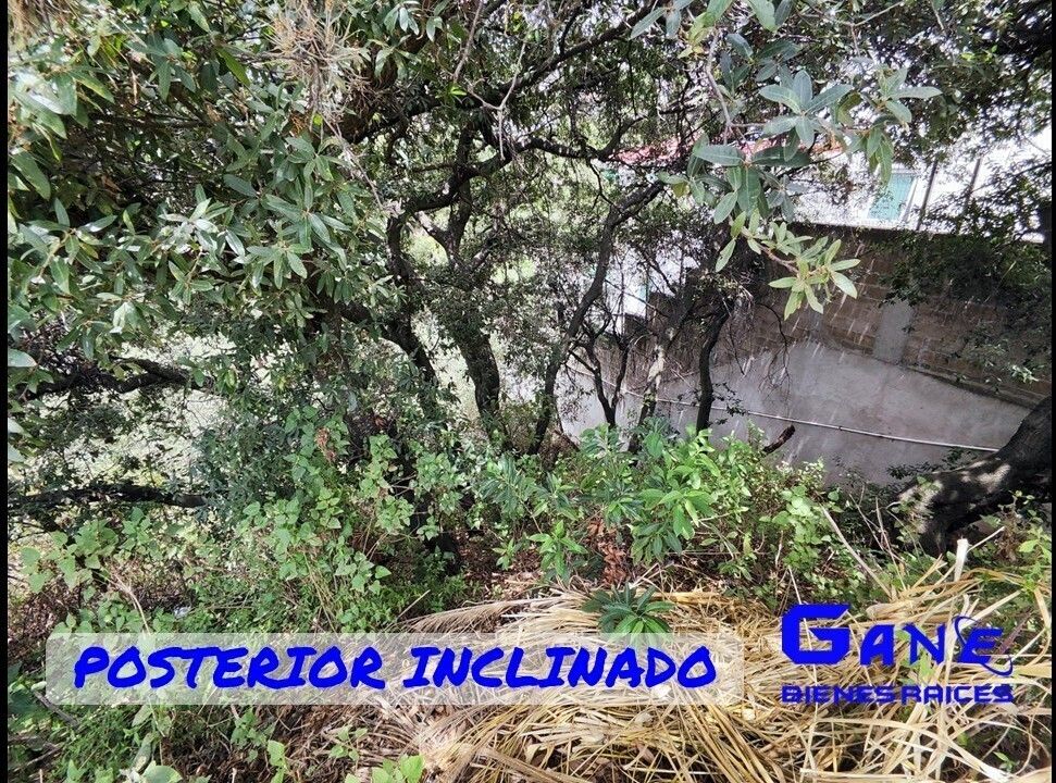 12 de 14