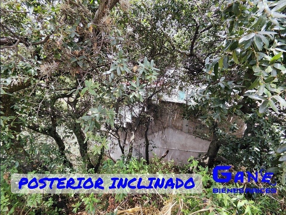 13 de 14