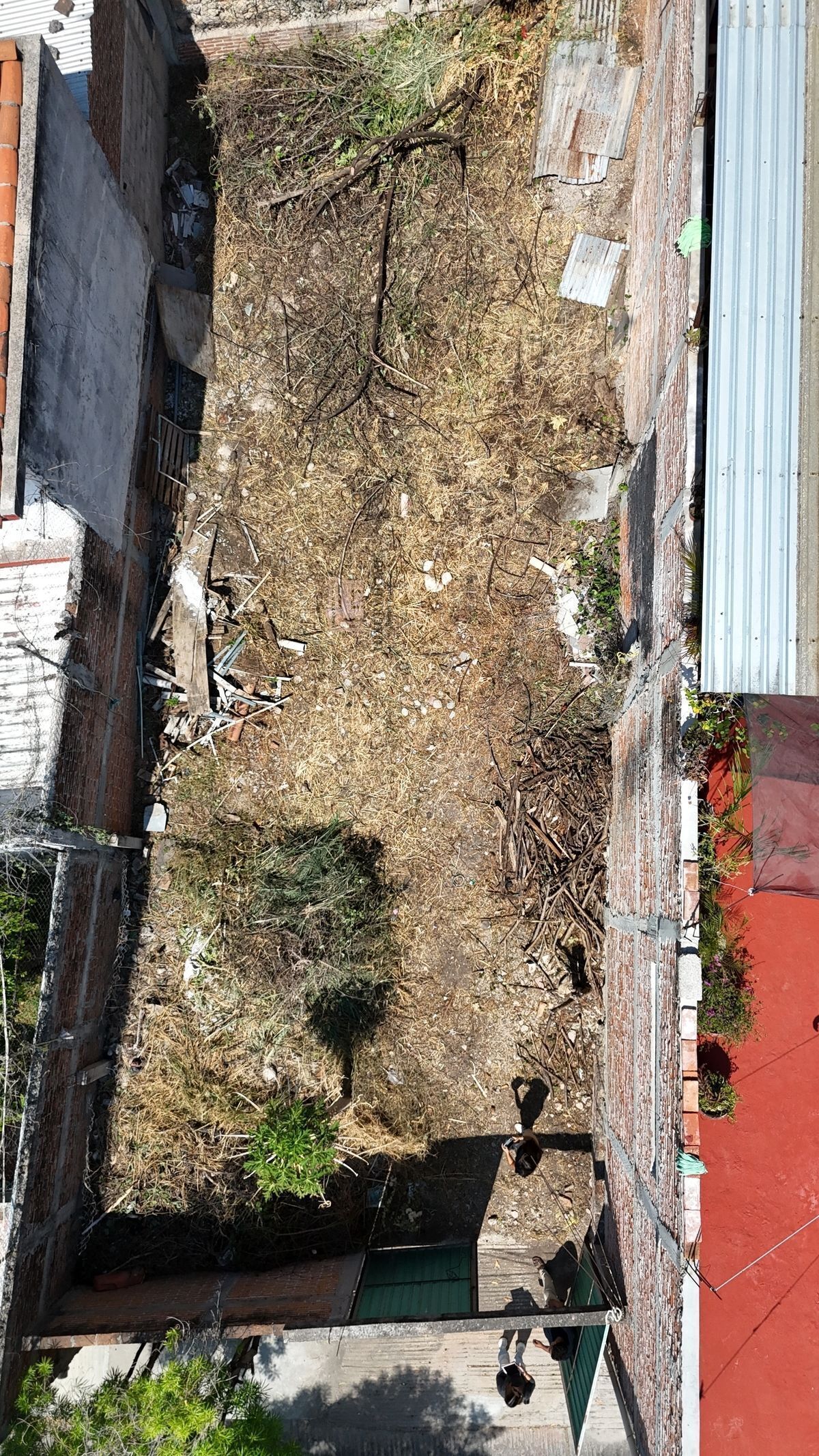 2 de 6