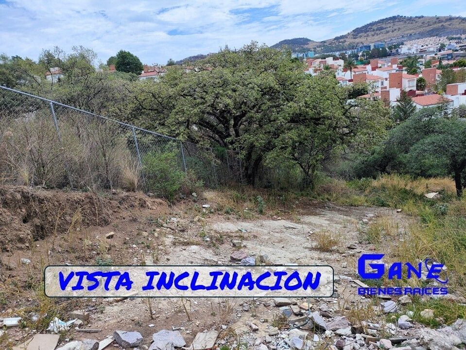 11 de 17