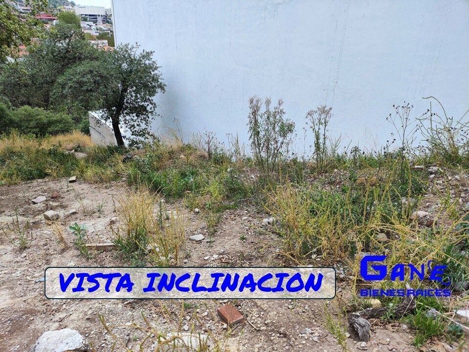 14 de 17
