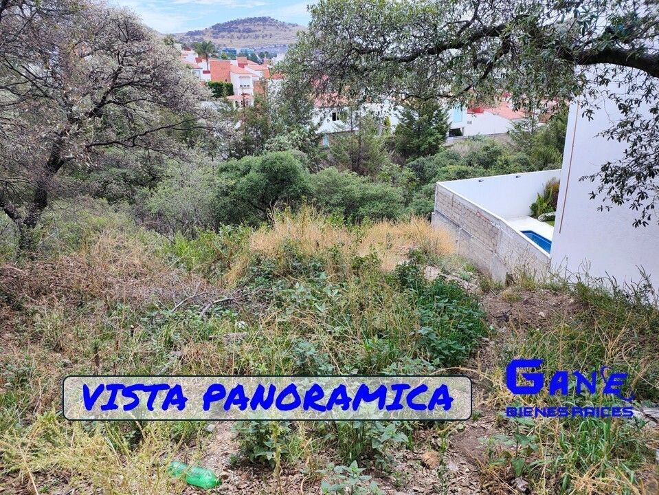 15 de 17