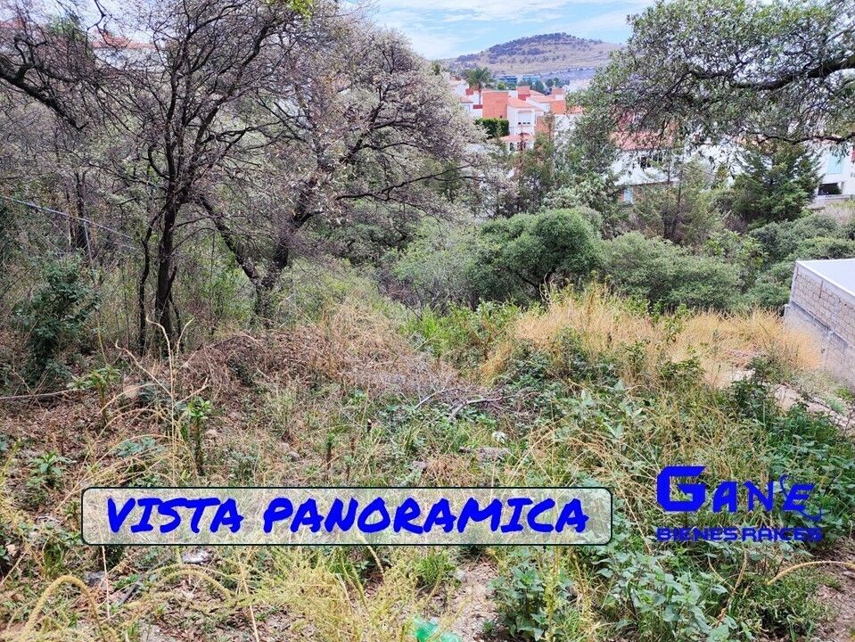 16 de 17