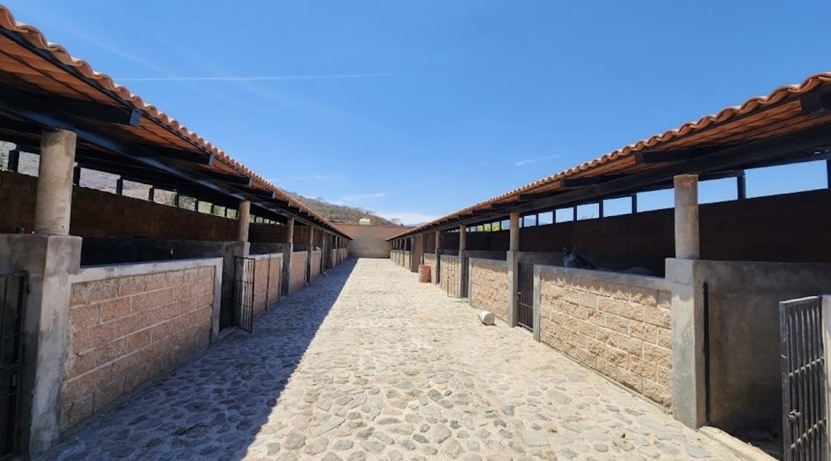 OPORTUNIDAD TERRENO EN VENTA JOCOTEPEC LAGO DE CHAPALA FRACC VIÑEDOS LAKE - foto 5