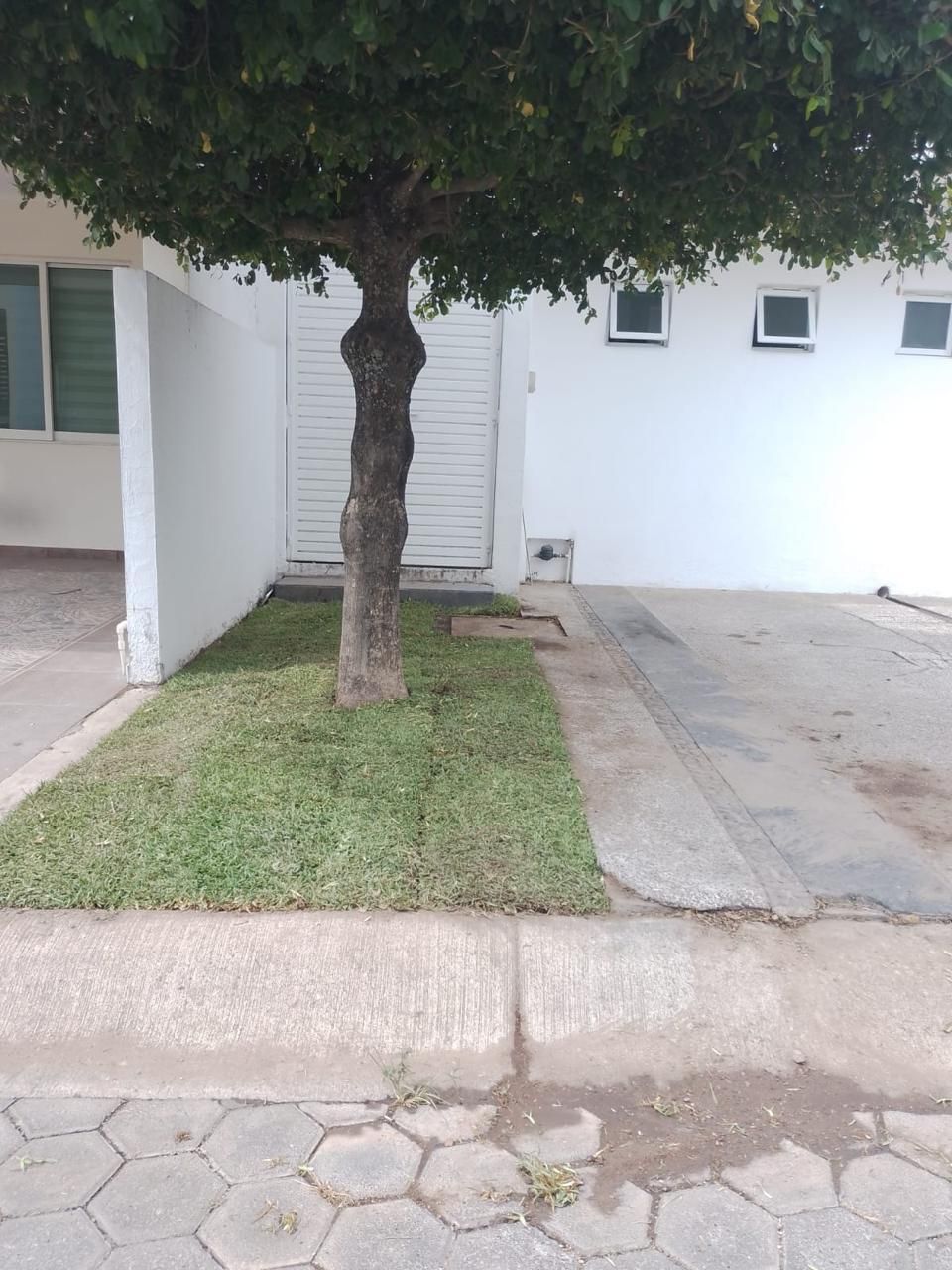 4 de 15