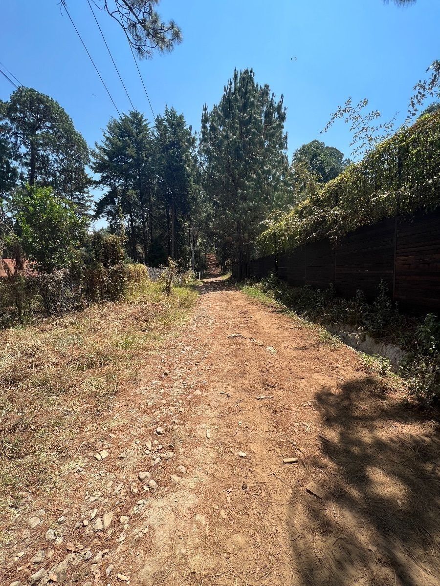 Terreno en Cerro Gordo Valle de Bravo - foto 5