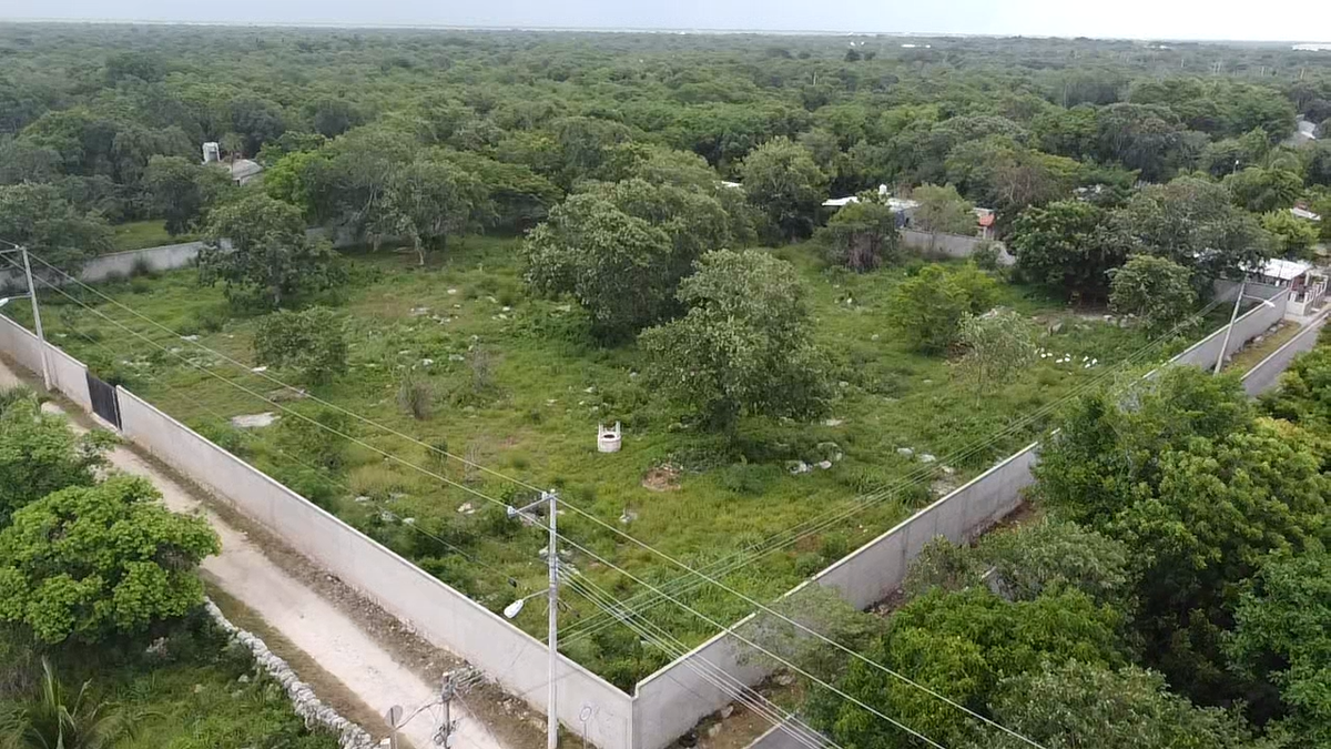 3 de 16