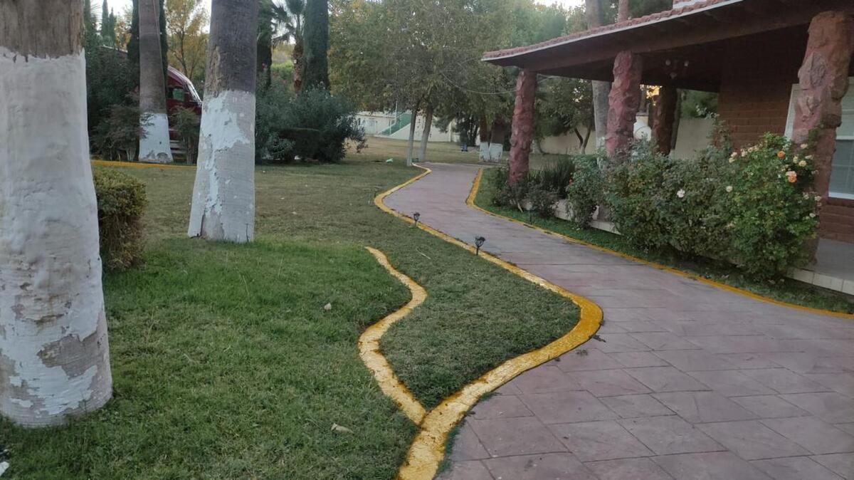3 de 12
