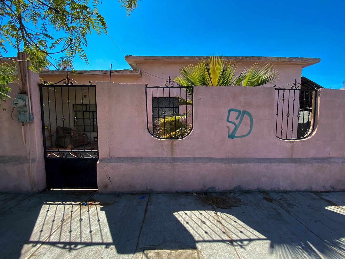 13 de 31