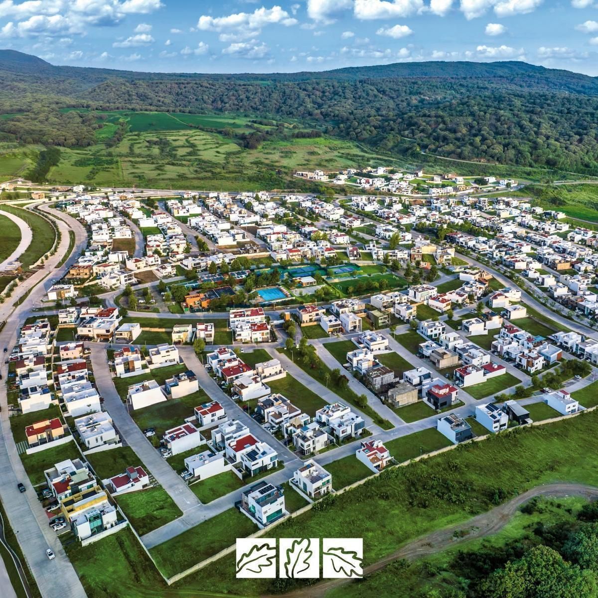 1 de 6