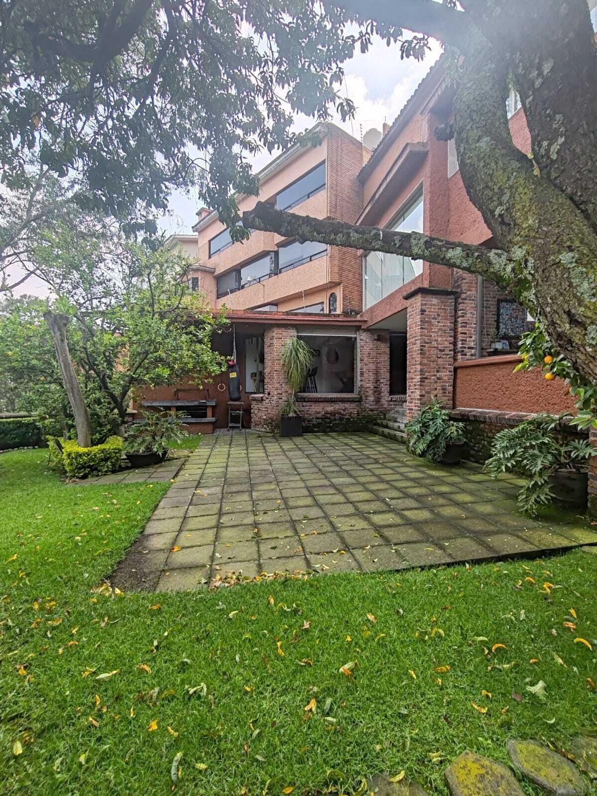 8 of 15: Jardín - Terraza