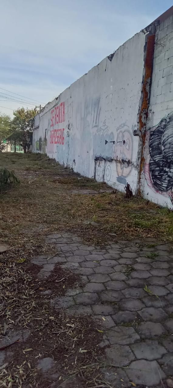 1 de 10