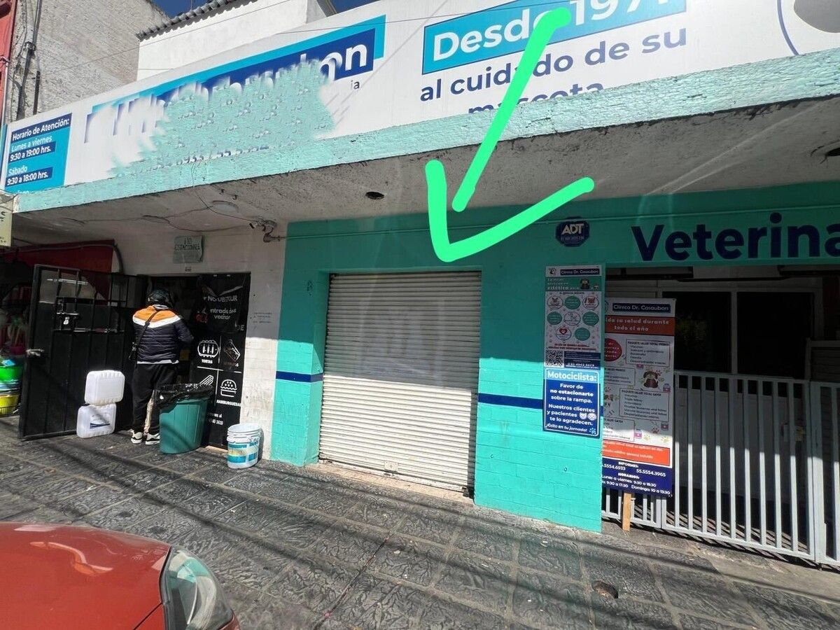 7 de 8