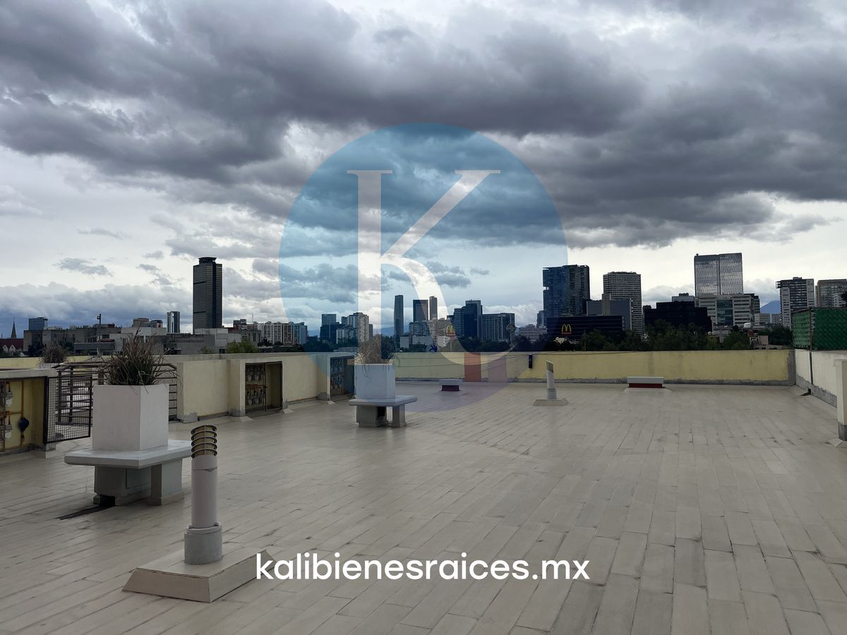 5 de 24