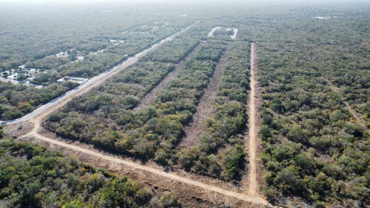 15 de 17: Avance de obra