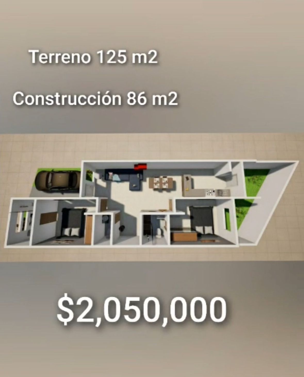 2 de 11
