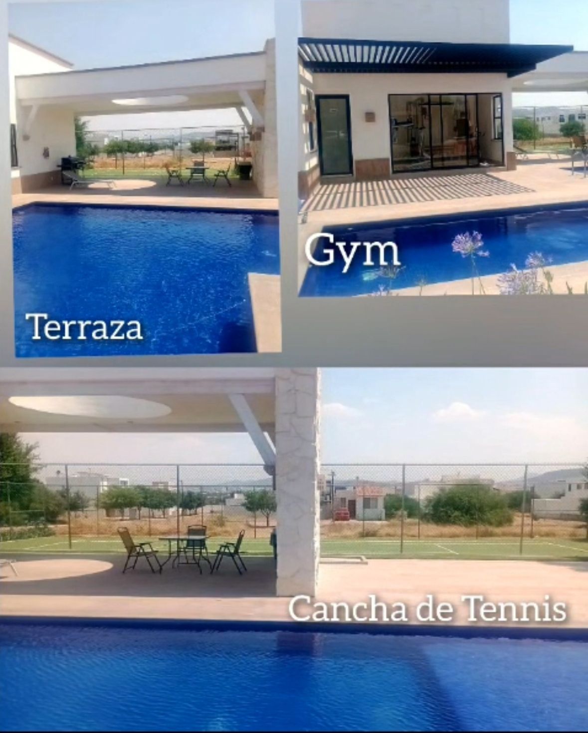 11 de 11