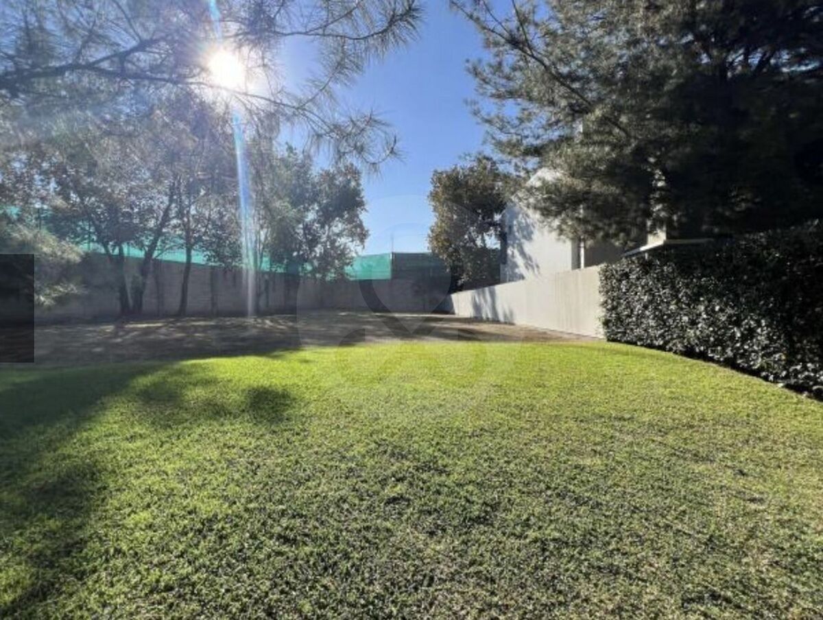 11 de 19