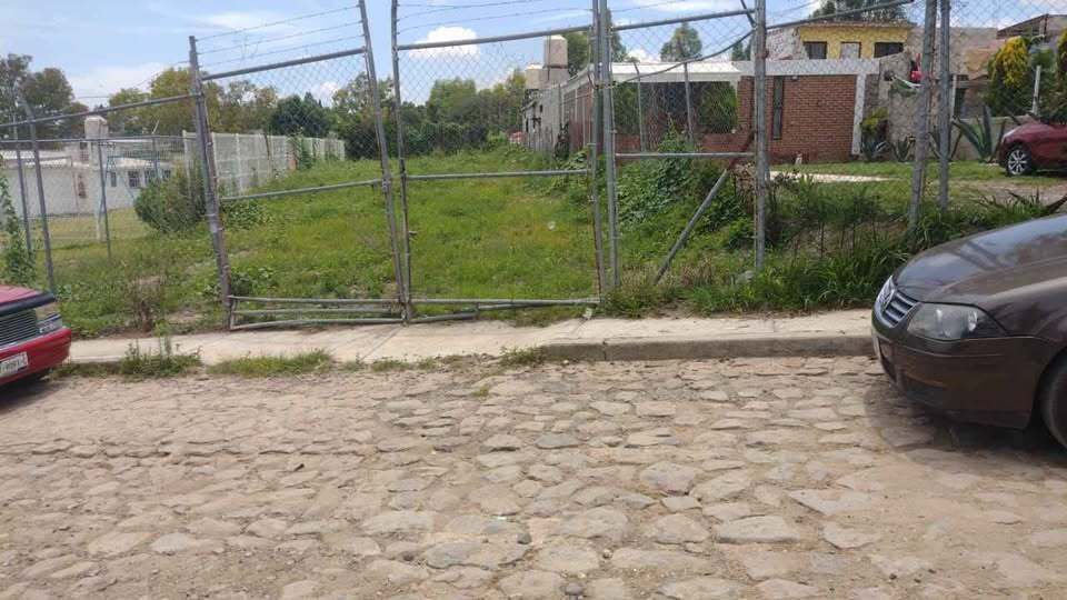 5 de 14