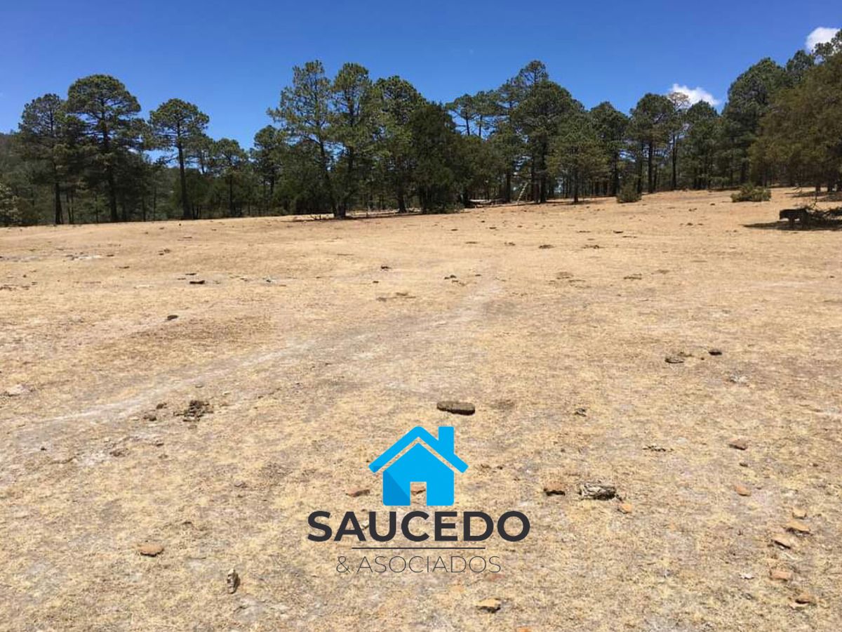 Empalme Purísima 5,000 m2 en Venta
