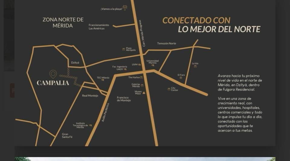 10 de 11
