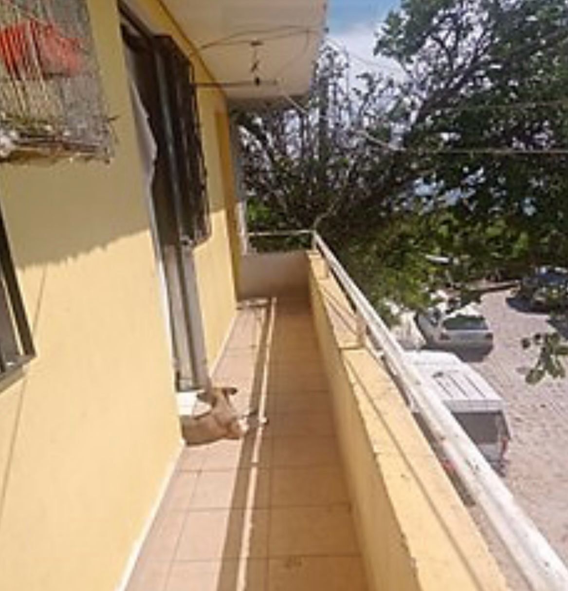 3 de 6