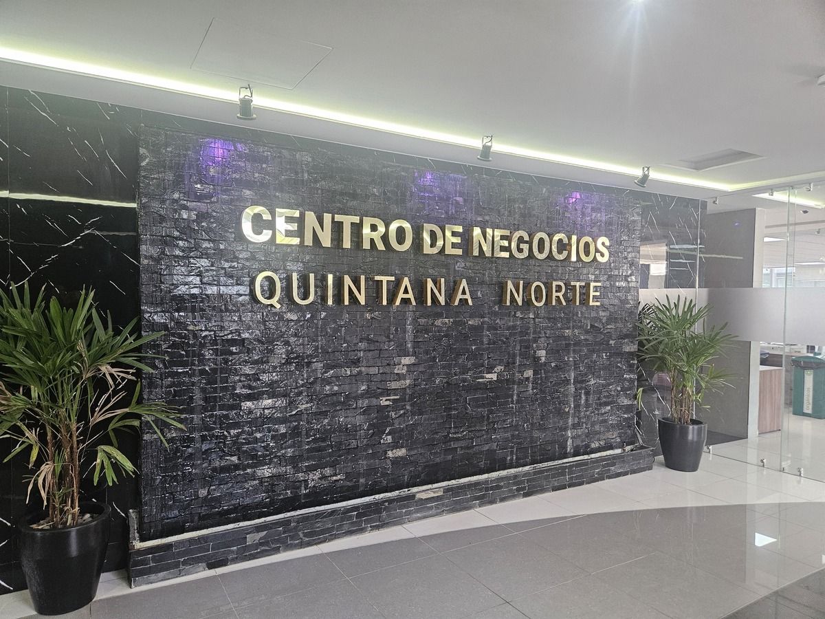 6 de 19
