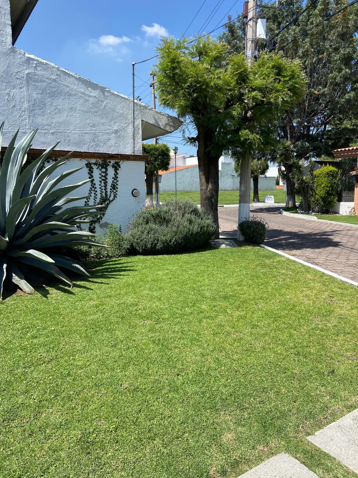 3 de 37
