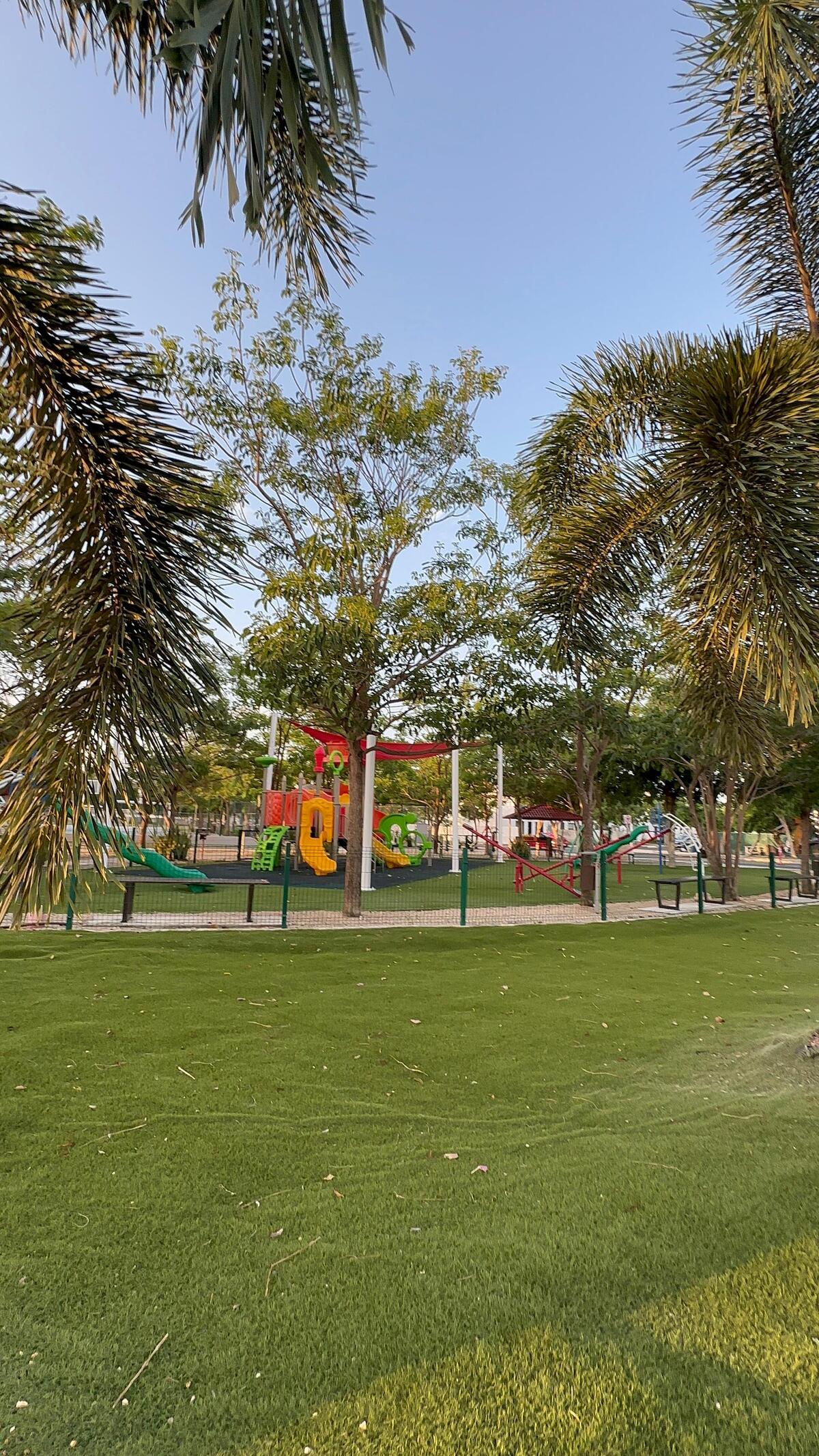 6 de 20