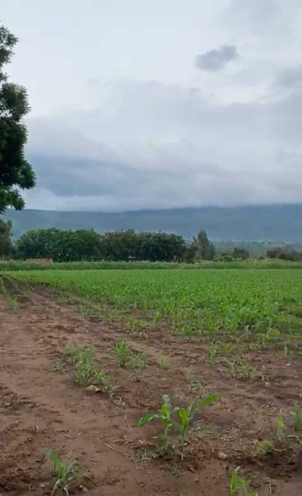 5 de 6