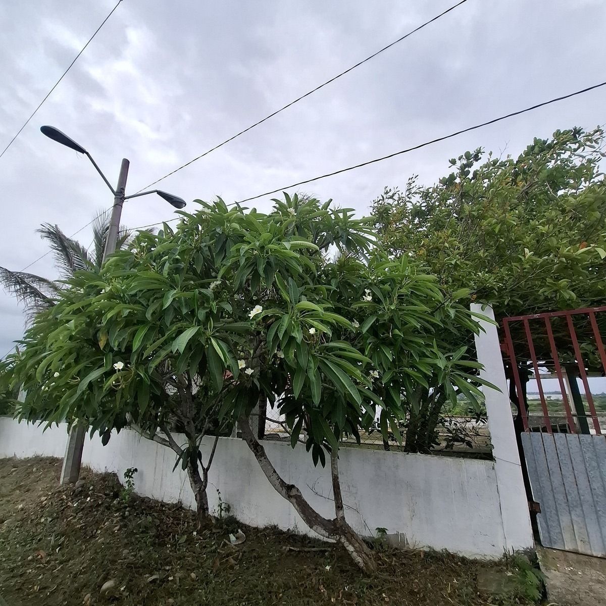 3 de 21