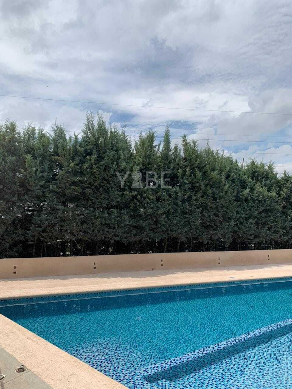 8 de 8