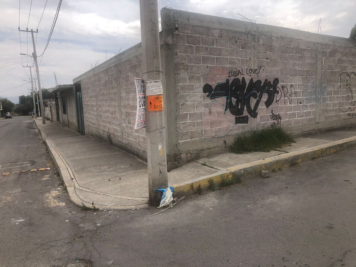 13 de 13