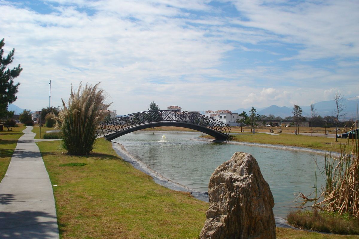 5 de 6