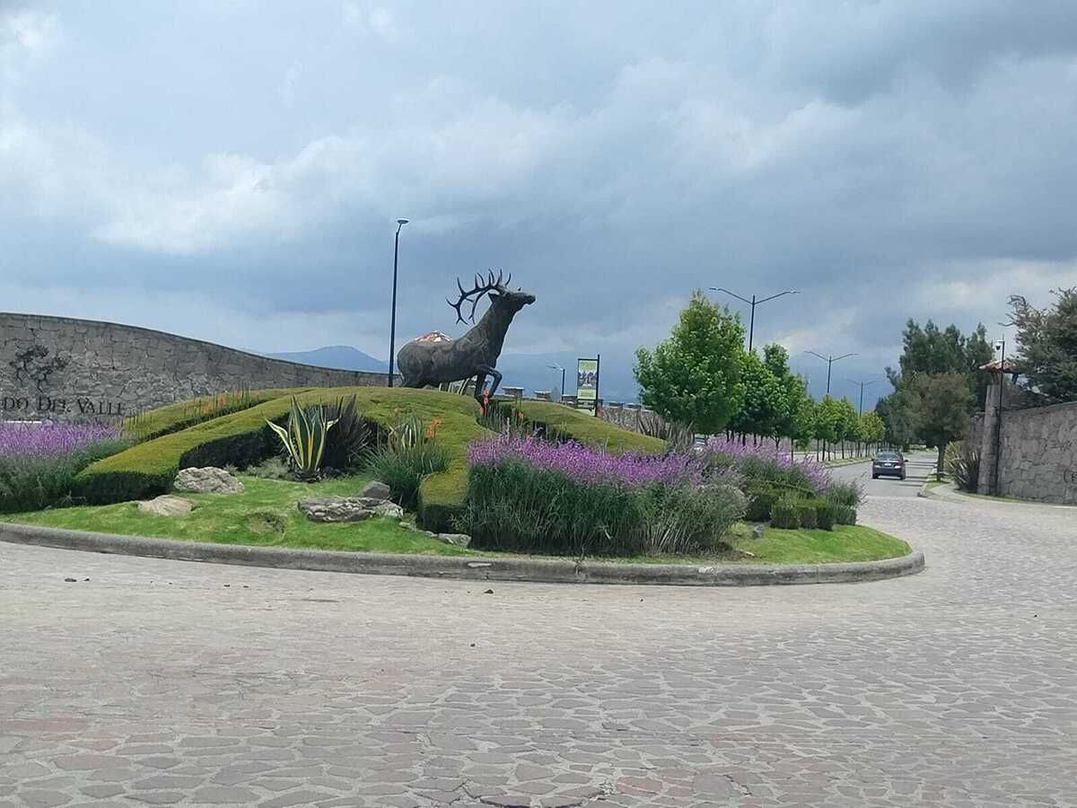 3 de 41