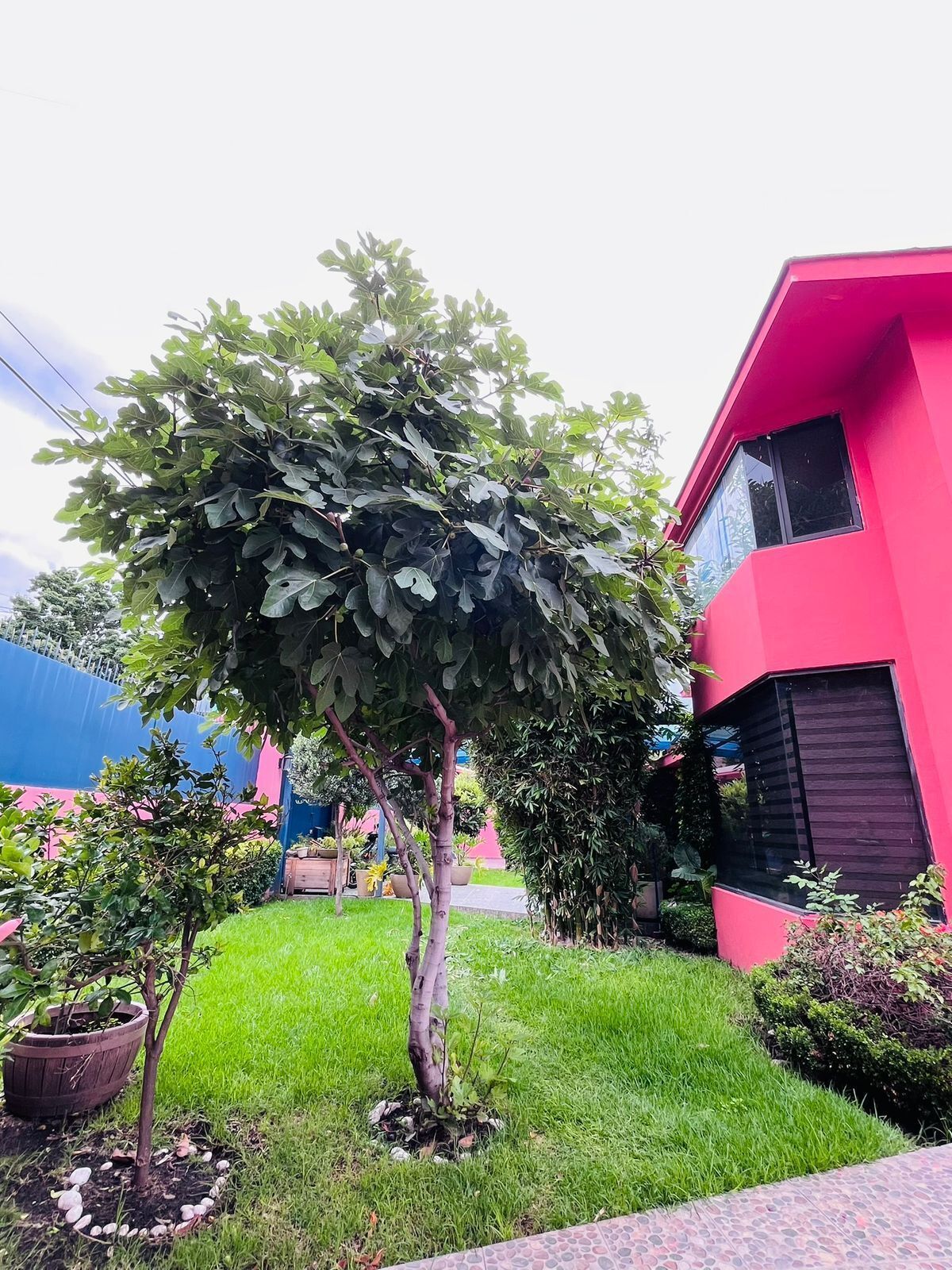 3 de 22