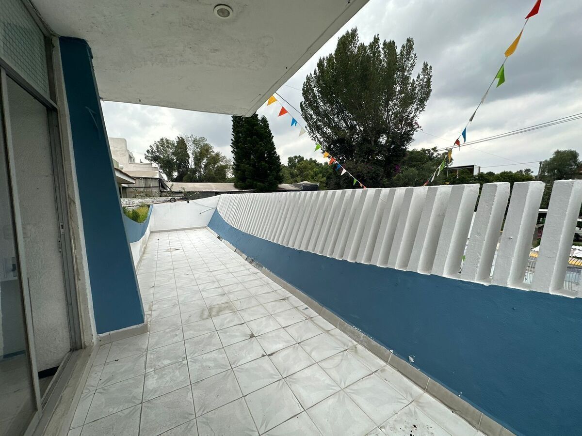 6 de 19