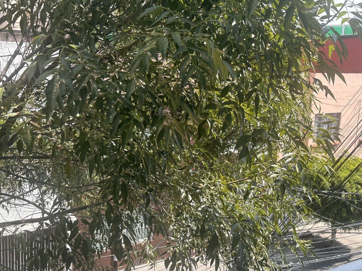 5 de 24