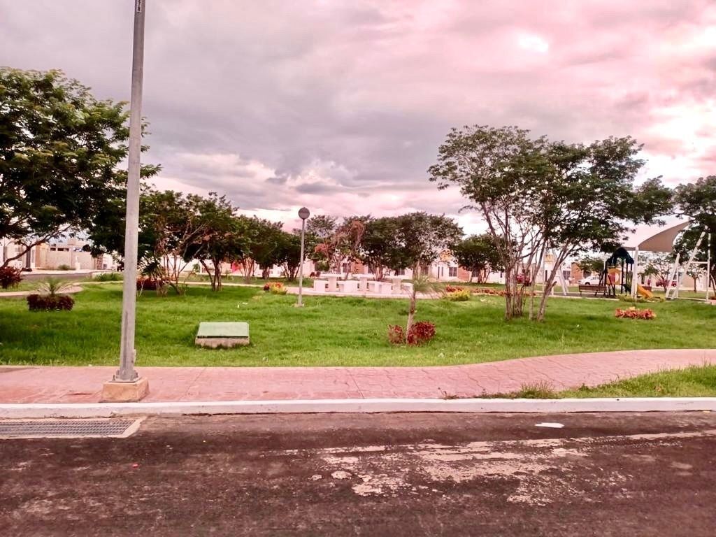 13 de 13