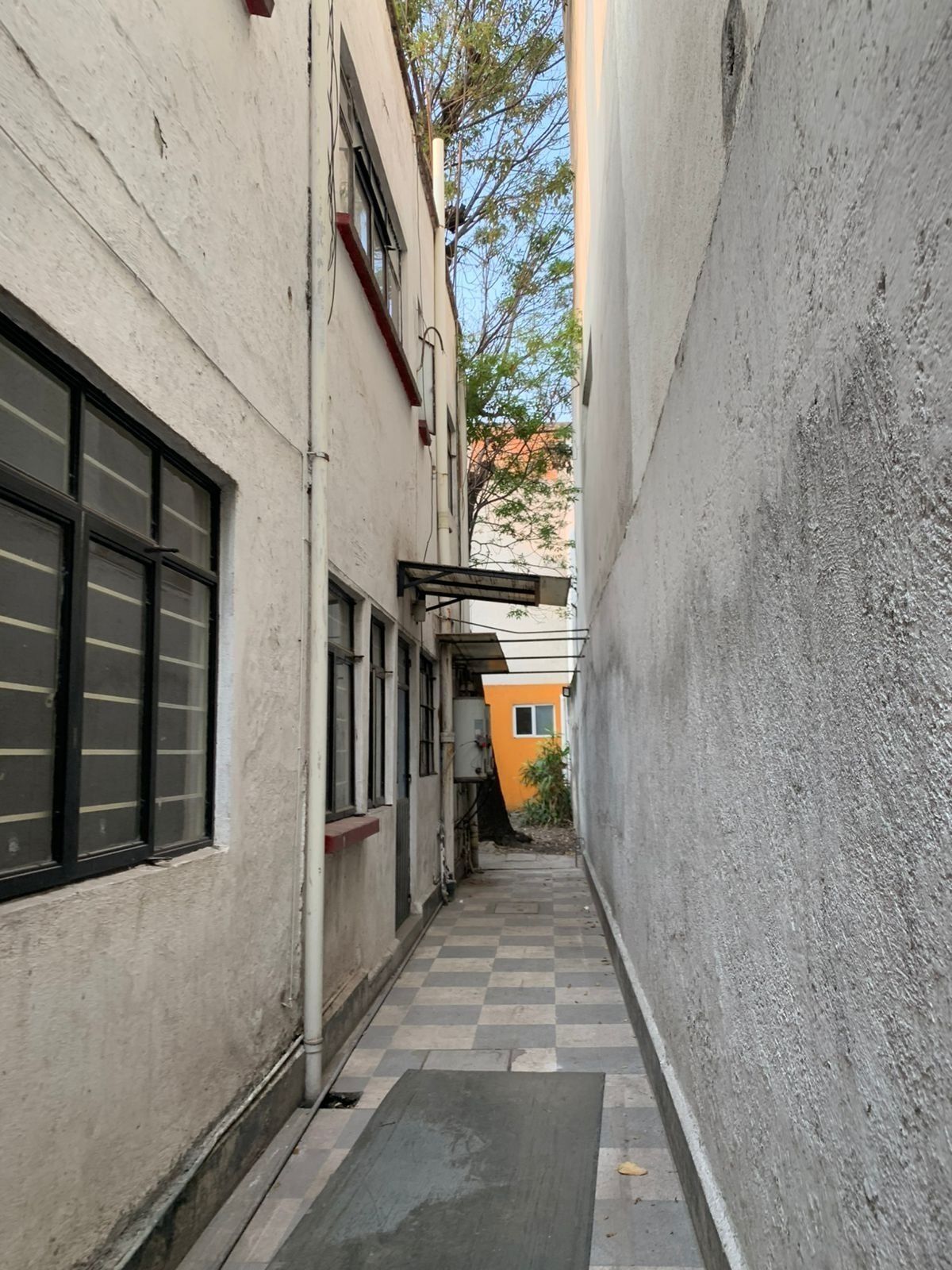 7 de 12