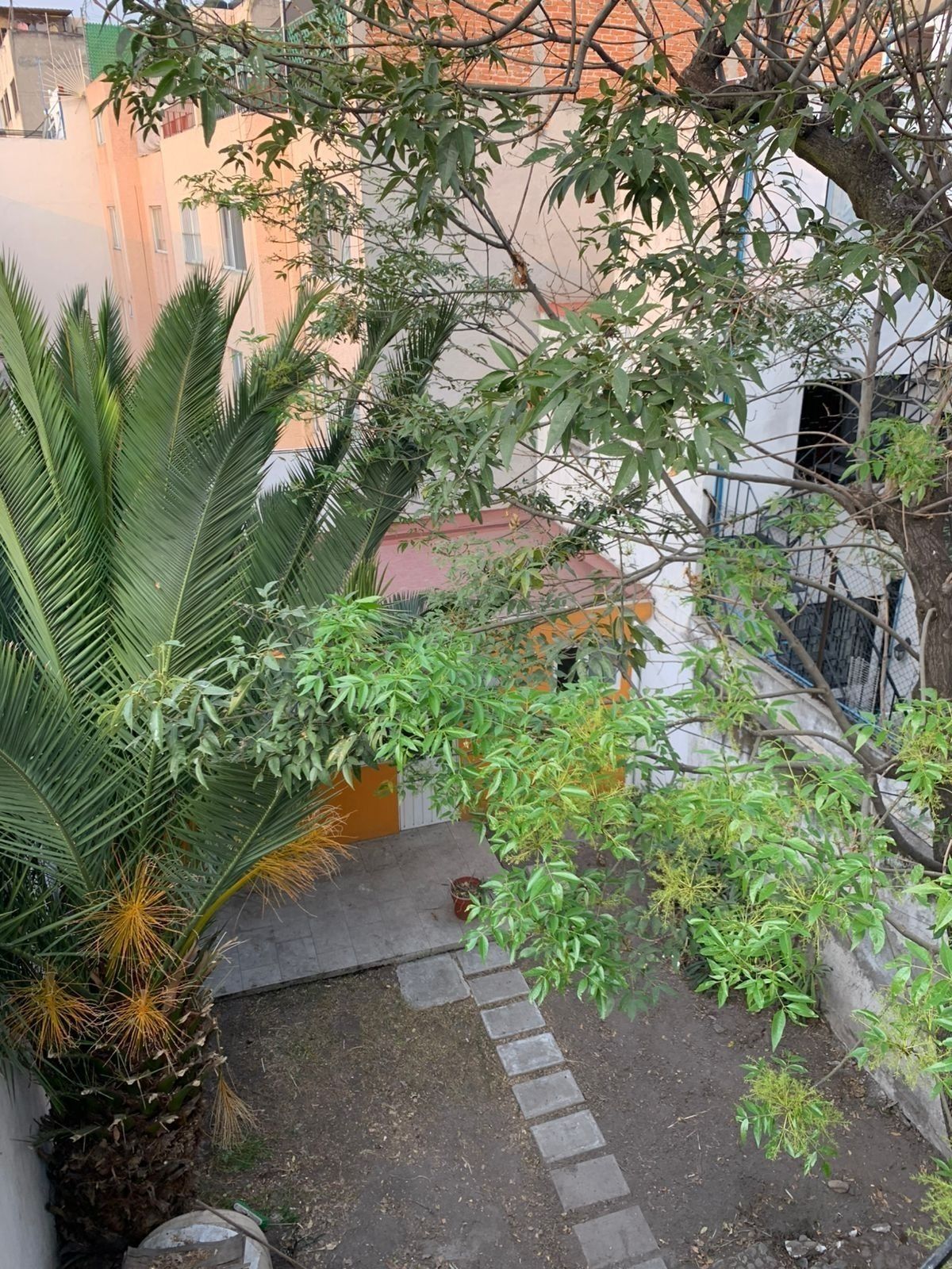 11 de 12