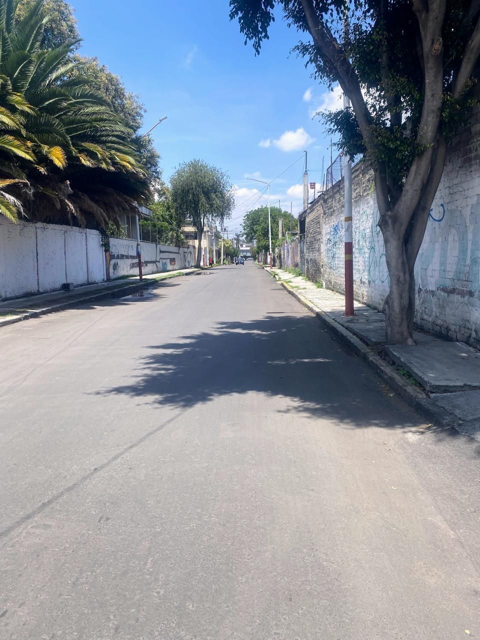5 de 10