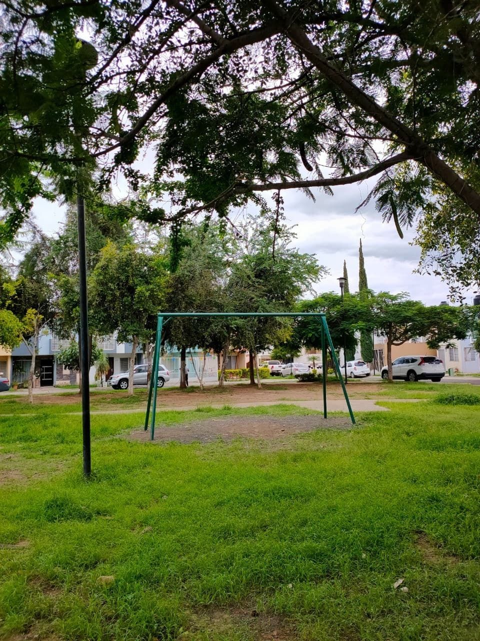 3 de 12