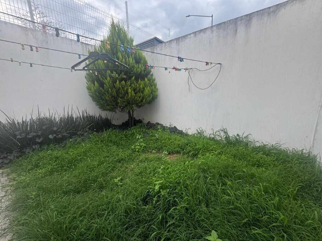 16 de 17