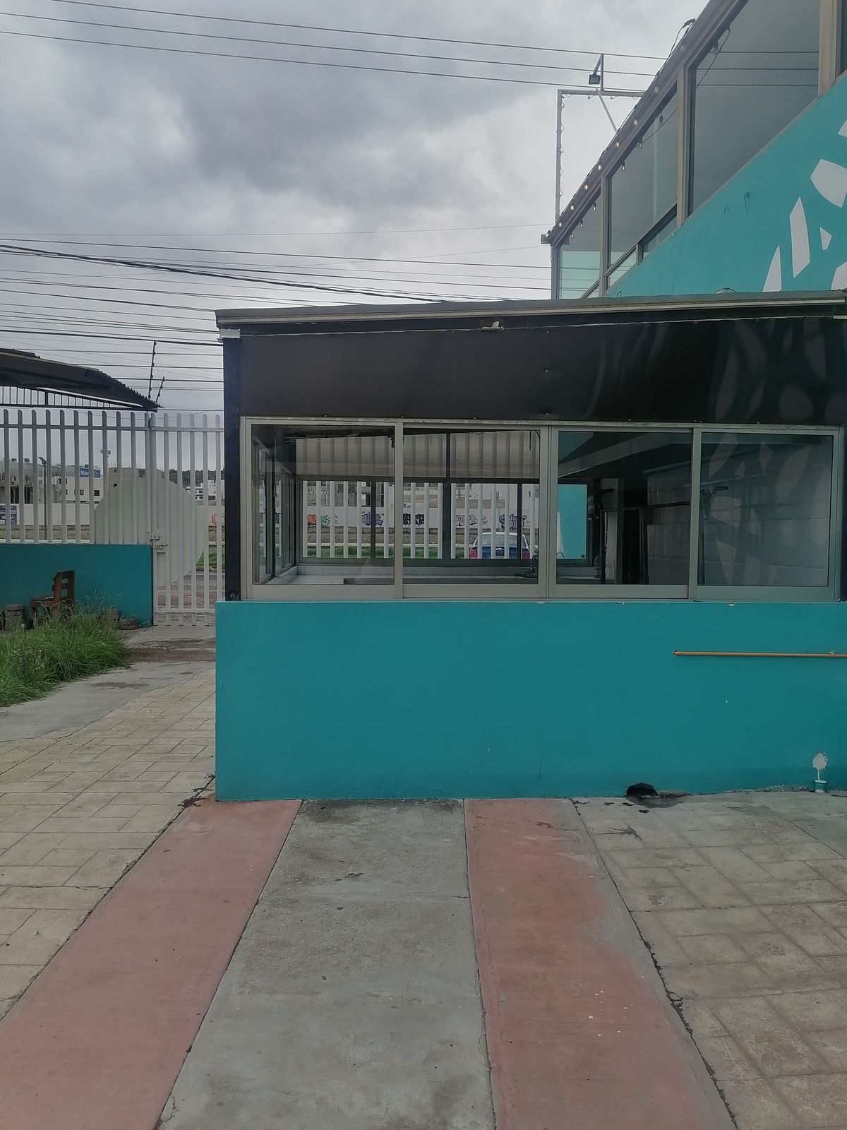 6 de 12