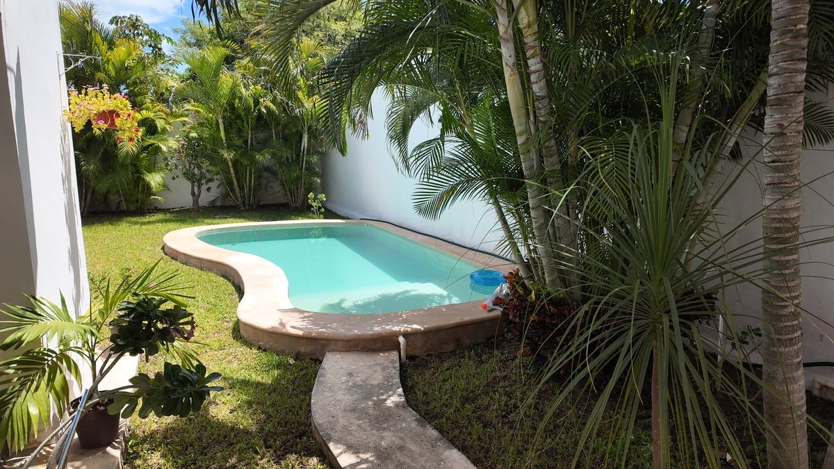 10 de 19: Piscina y jardín