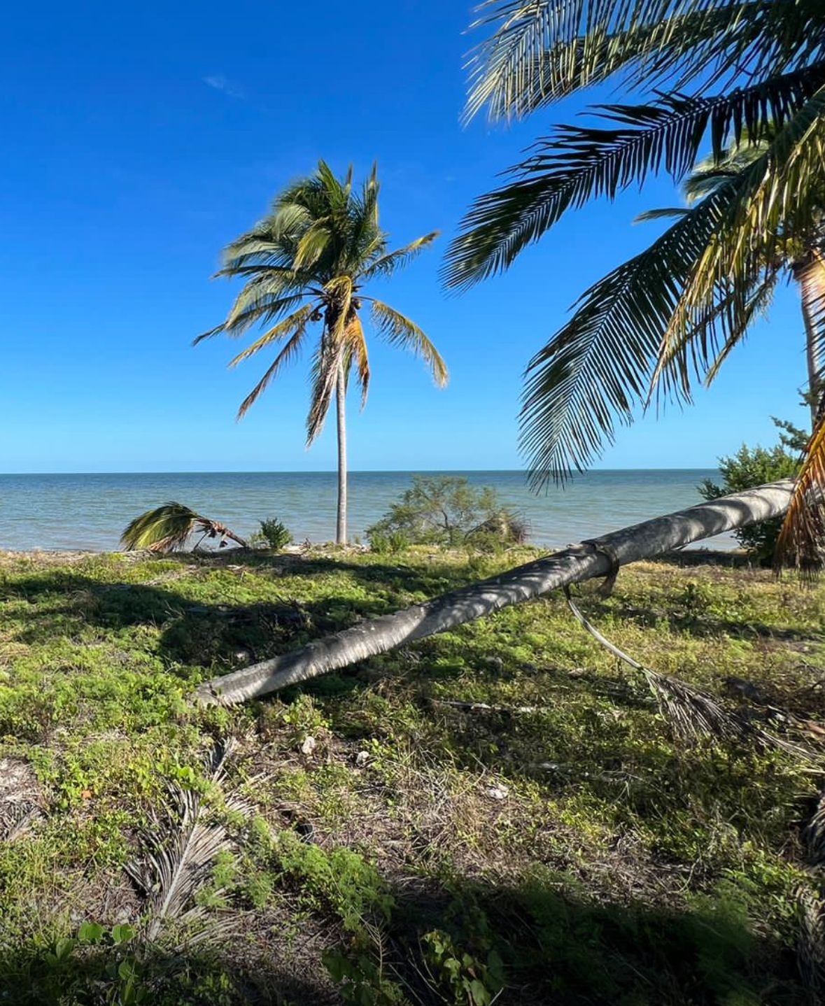 1 de 3