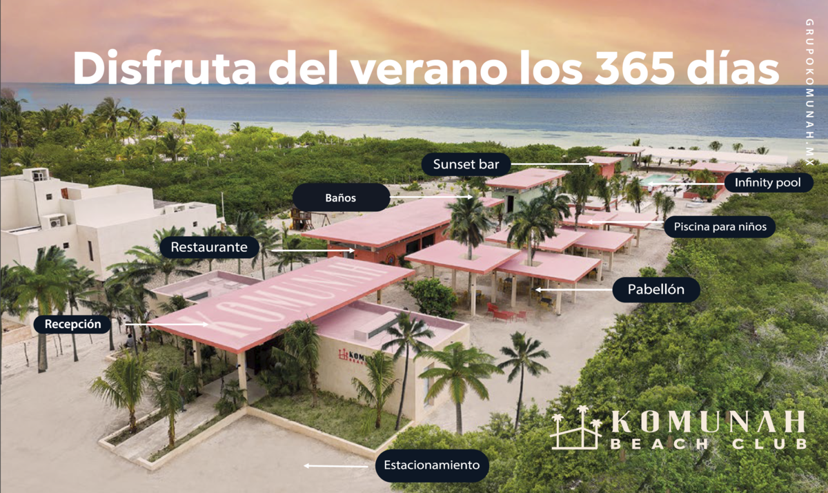 28 de 29