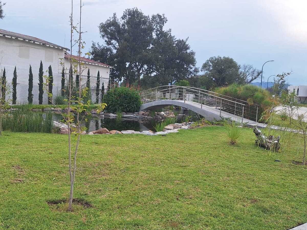 5 de 16